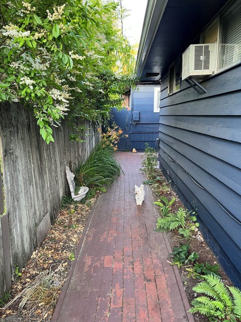 Side yard and patio are private and reserved just for our guests.