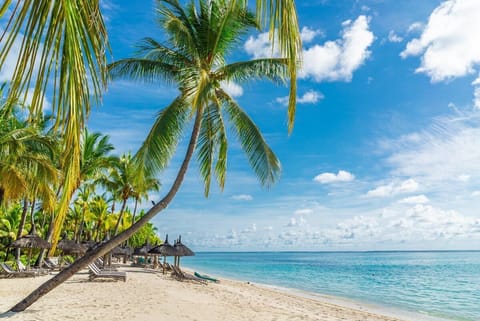 Luxurious Beach - 20 minutes 