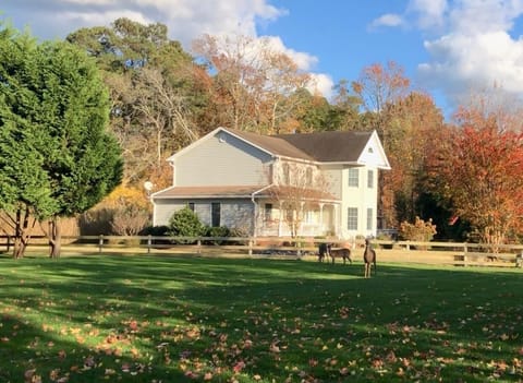 Welcome to our little slice of heaven on Chincoteague Island