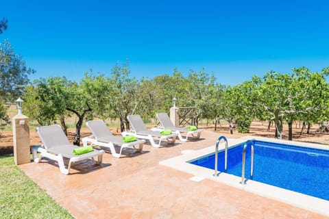 Holiday Home Swimming Pool