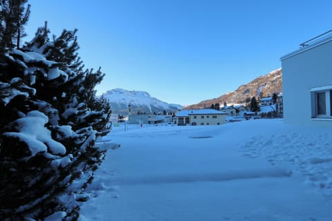 Scenic view