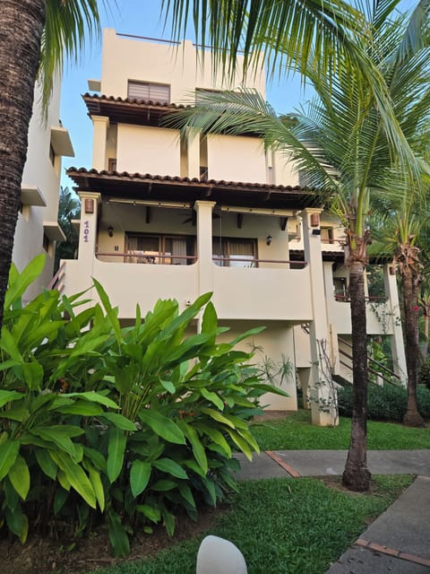 Front view