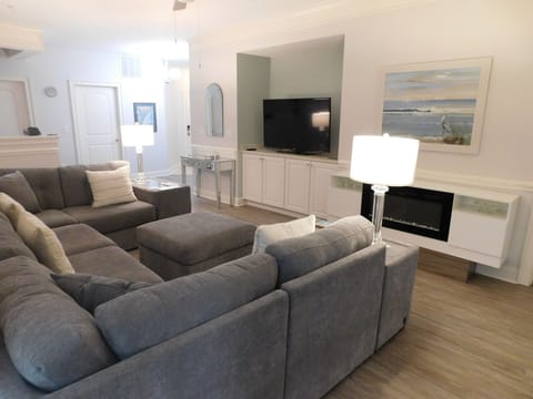 Living Room Area with TV and Fire Place