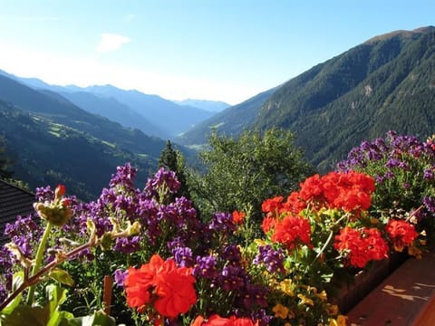 Apartment Almrausch - Seppenbauerhof - Family Steiner Apartment in Carinthia, Austria