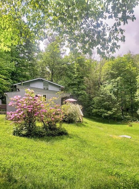 Day - view of the house from the driveway