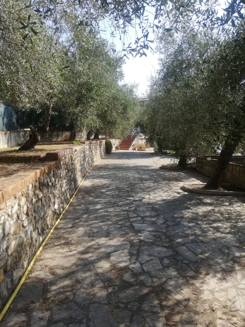 IL VIALETTO DI ACCESSO