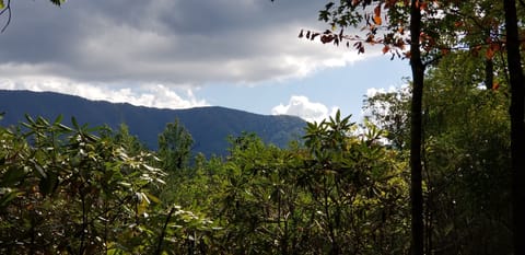 You will never get tired of looking at the lovely mountain views from the cabin