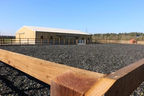 Redwings Sanctuary Rooms, Fritton - Host & Stay