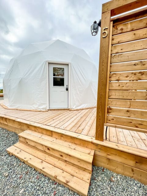 Dome #5