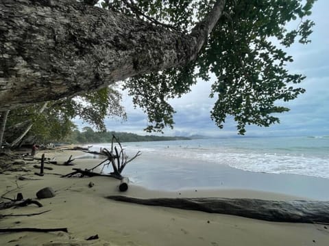 Don’t miss out on the beautiful beaches—Manzanillo Beach is perfect for swimming, snorkeling, and relaxing under the sun.