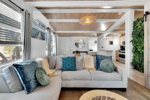 Living room with a pull out bed.