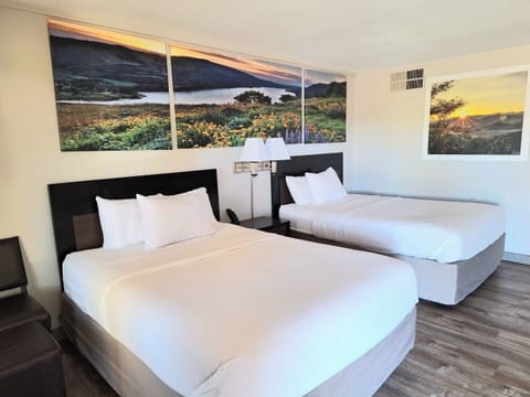 Unit with 2 Queen beds. Exact unit will be assigned upon arrival. Views, colors, and decor may vary.