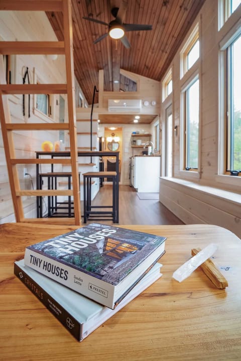 View from the leather sofa.