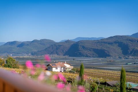 Balcony with a view of Lake Kaltern