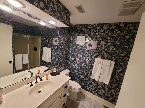 Master Bedroom Bathroom 