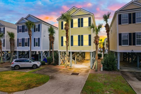 Charming coastal homes on stilts with palm trees create a perfect beachside community setting under dramatic sunset skies.