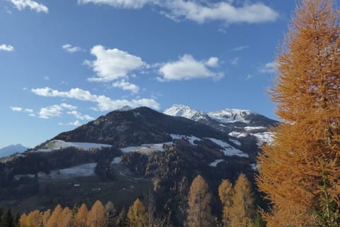 Activities, Autumn, Outdoor, Spring, Summer