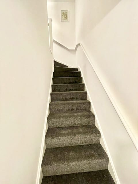 Plush carpeted stairway leading to upper bedrooms and baths