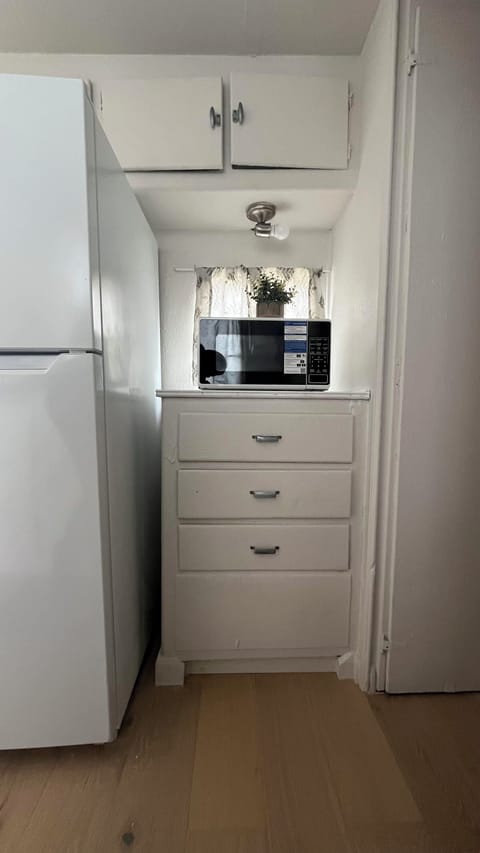 Microwave and full size fridge