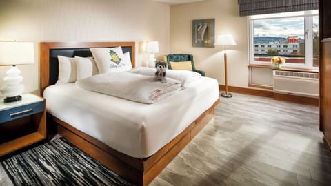 Unit with King size bed