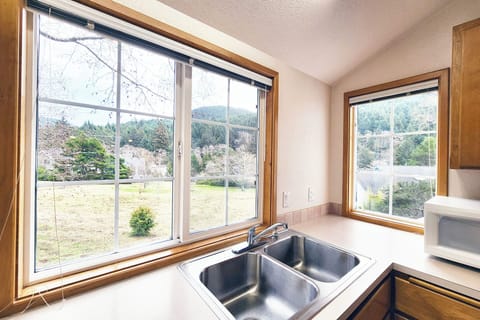What a view to the meadow outside while washing dishes.