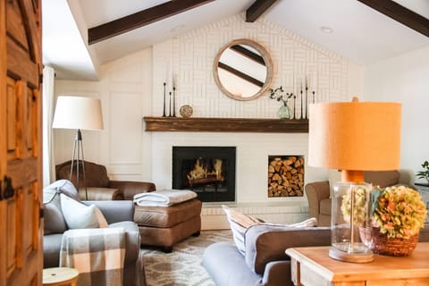 TV room with gas fireplace