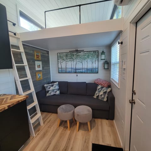 Living Room with pullout sofa bed