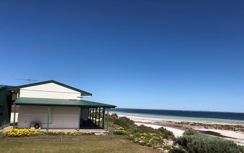 Cordelia and the gull, view of the beach