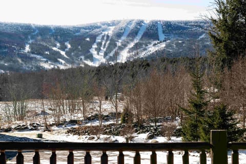 Direct ski views from the terrace