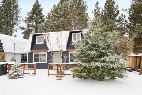 Snow covered Big Bear Cool Cabins, PureSky Cabin