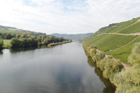 Region [summer] (>5 km)