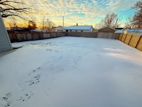 Snowy Back Yard