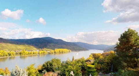 Blick vom Hausgrundstück