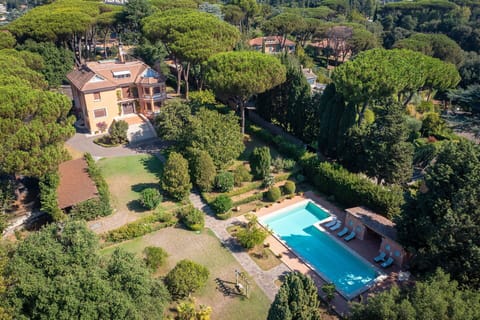 Garden, Outdoor, Pool