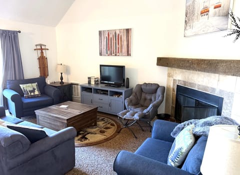 Fireplace and Pullout Queen Sofa Bed in the Main Room