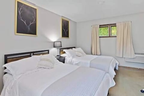 813a6ef5 9154 487b 8786 531389cb8176