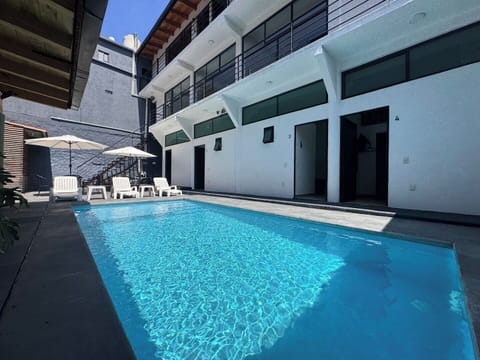 Descubre el paraíso en nuestros cómodos camastros junto a la alberca. Este es el lugar ideal para relajarte y disfrutar del sol en un entorno idílico. 