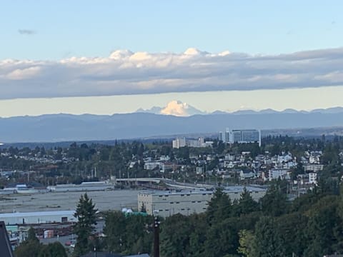 View of Mount Baker and downtown