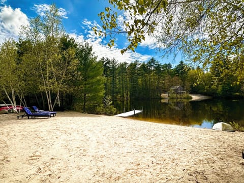 Large Beach on Belleau Lake! Great swimming, fishing, kaying etc!