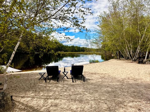 Large Beach on Belleau Lake! Great swimming, fishing, kaying etc!