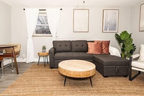 Living Room with pull-out couch. (2)