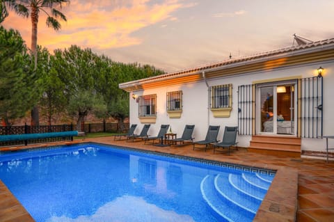 Pristine pool and property