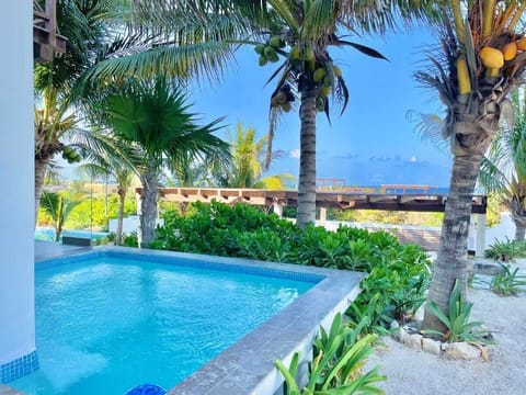 Private plunge pool with palms