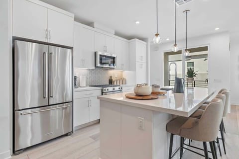 Contemporary kitchen blending style and function