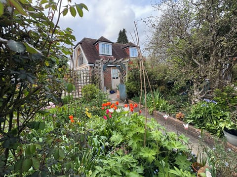 The Garden Rooms