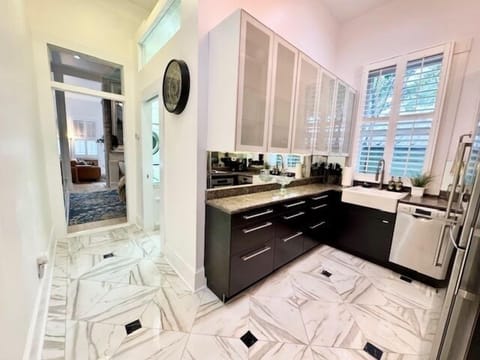 Sleek European Style Kitchen