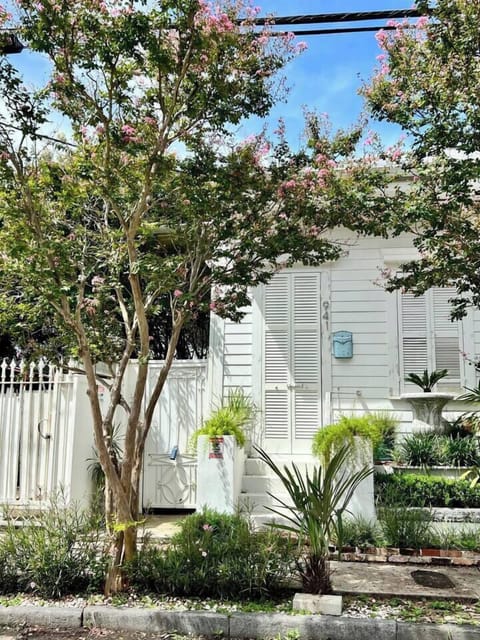 c6282a30-5fff-4904-bcbd-543ded51f6ac