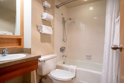 Bathroom, identical on both floors.