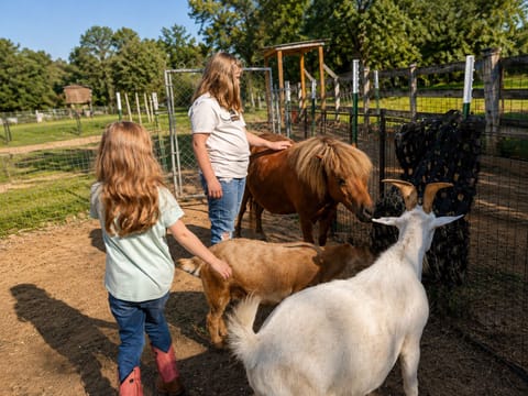 Hands-on farm fun! Guests can meet, pet, and interact with our friendly farm animals during their stay. 🐐🐴