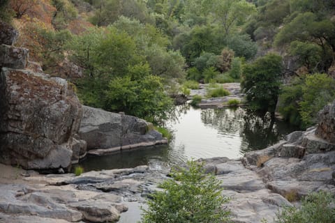 Private 12 ft deep Swimming Hole on year-round creek!